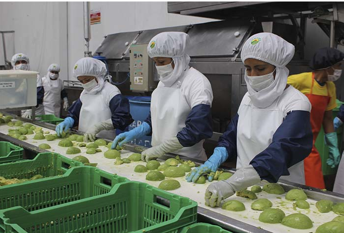 Exportaciones crecieron 36.7% impulsados por precios de minerales